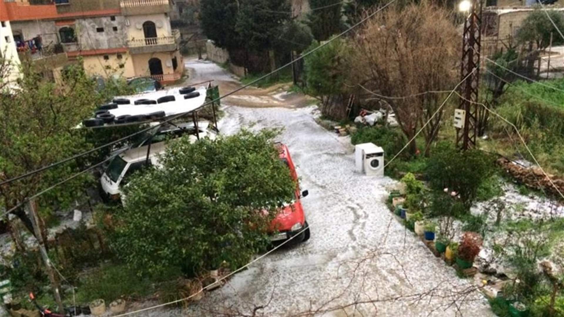 خسائر زراعية في عكار جراء الامطار الغزيرة والرياح العاتية
