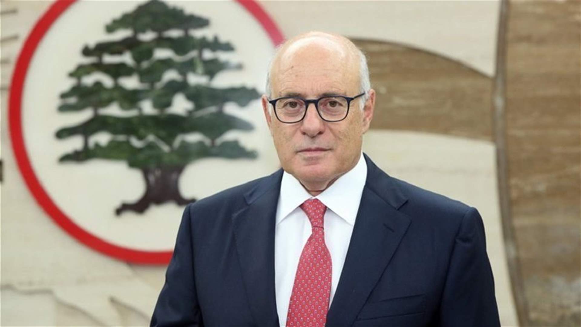 ابو سليمان: اقتراحي العمل المجاني لا يتضارب ومصالح الدولة