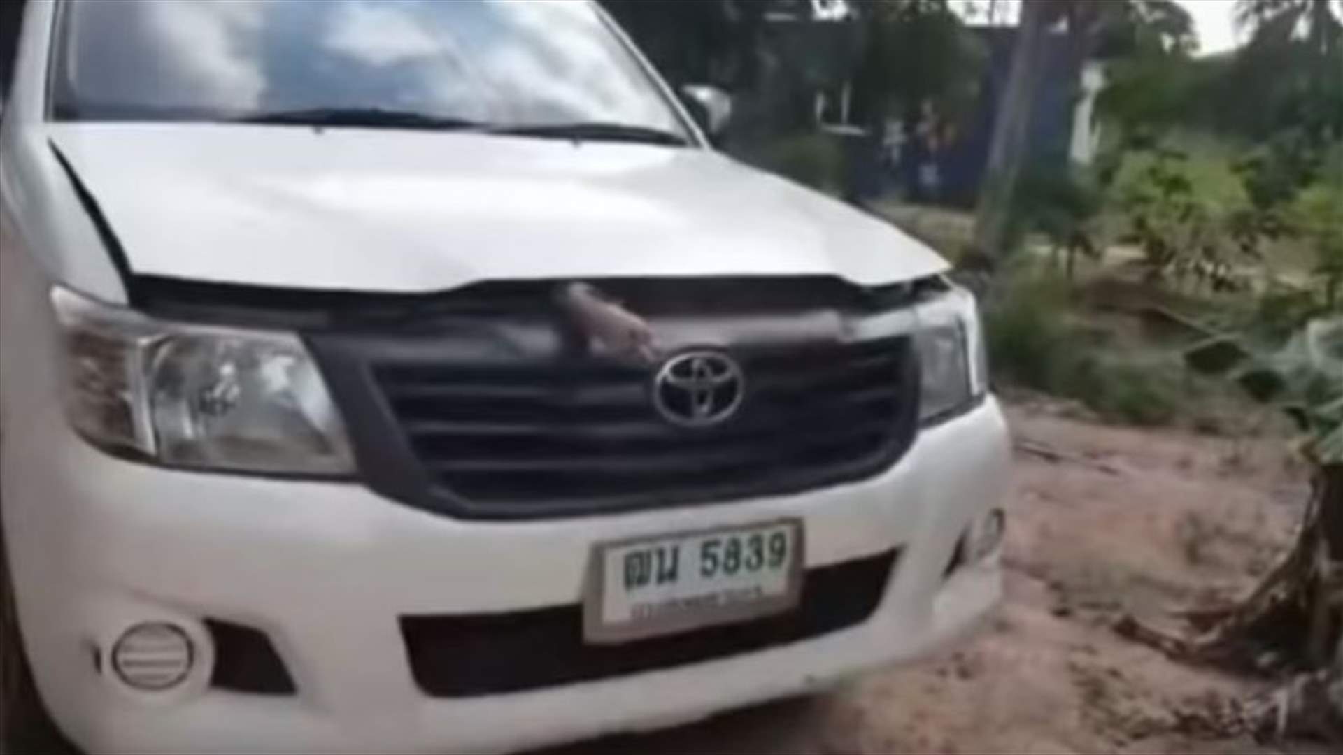 ركنت شاحنتها ودخلت المنزل... وبعد لحظات اكتشفت أمراً خطيراً (فيديو)