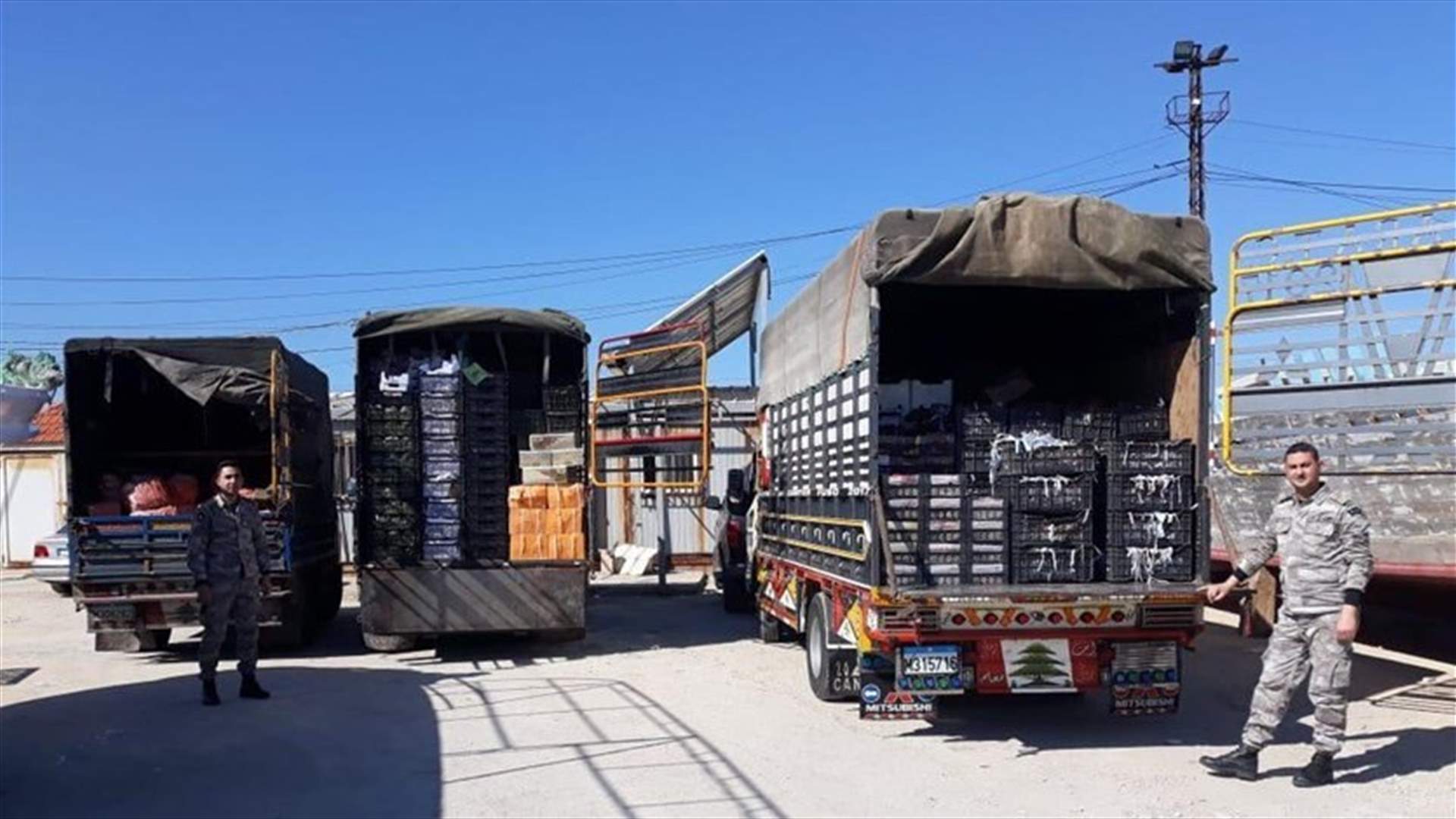 Six tons of smuggled fruits and vegetables seized-[PHOTO]