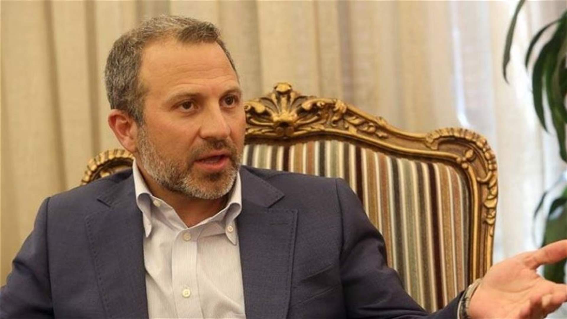 باسيل يغرّد في اليوم الوطني للمحميّات.. ماذا قال؟