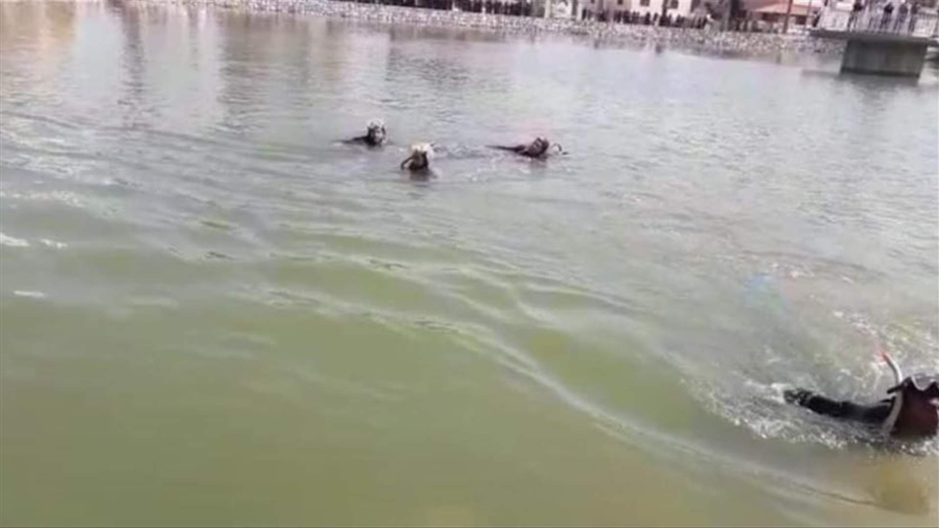 بعد سقوط مواطن في بركة في ميس الجبل... العثور على الجثة وانتشالها