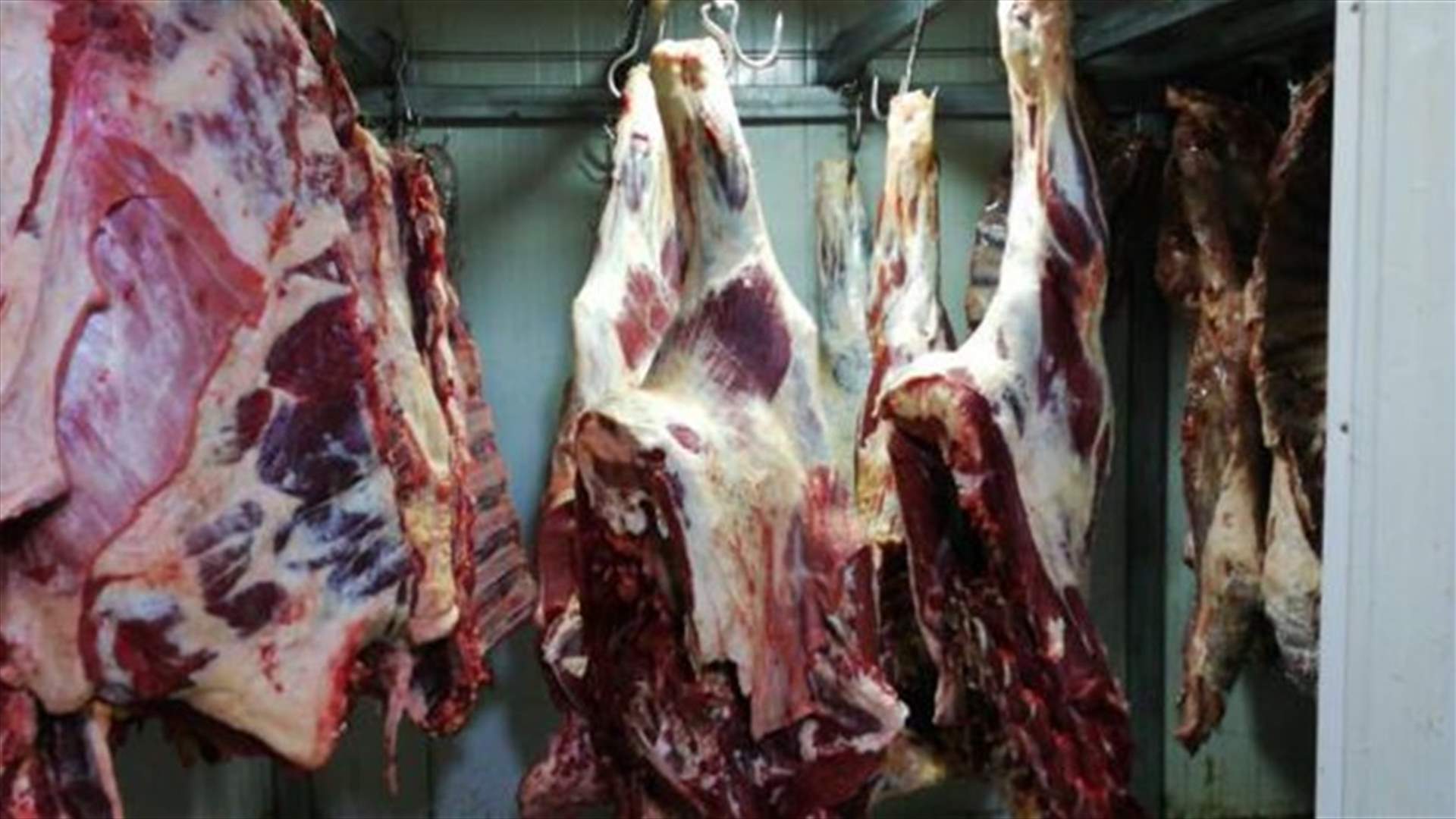 دهم 4 مستودعات تحتوي على مواد غذائية فاسدة..."روائح كريهة وجرذان وحشرات" (صوَر)