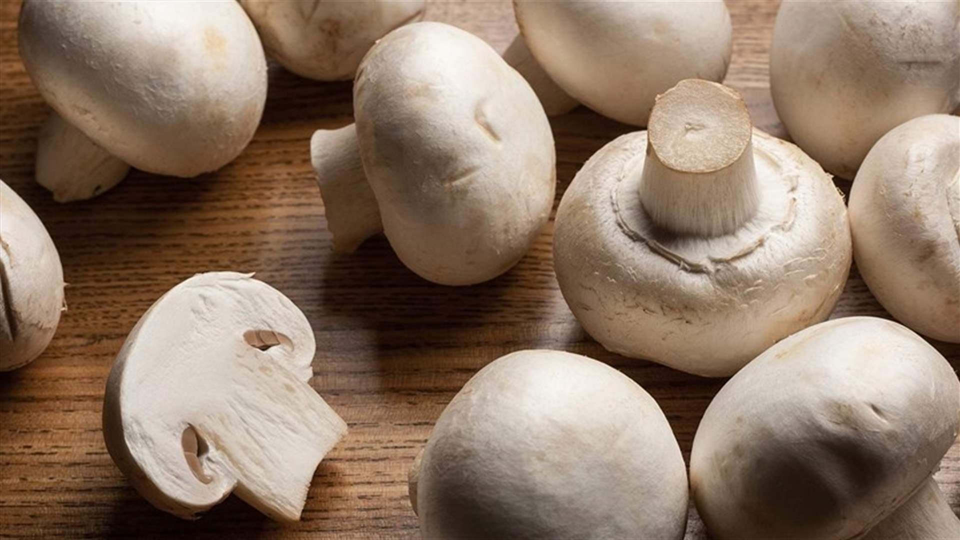 كيف يحمي الفطر صحة الدماغ؟