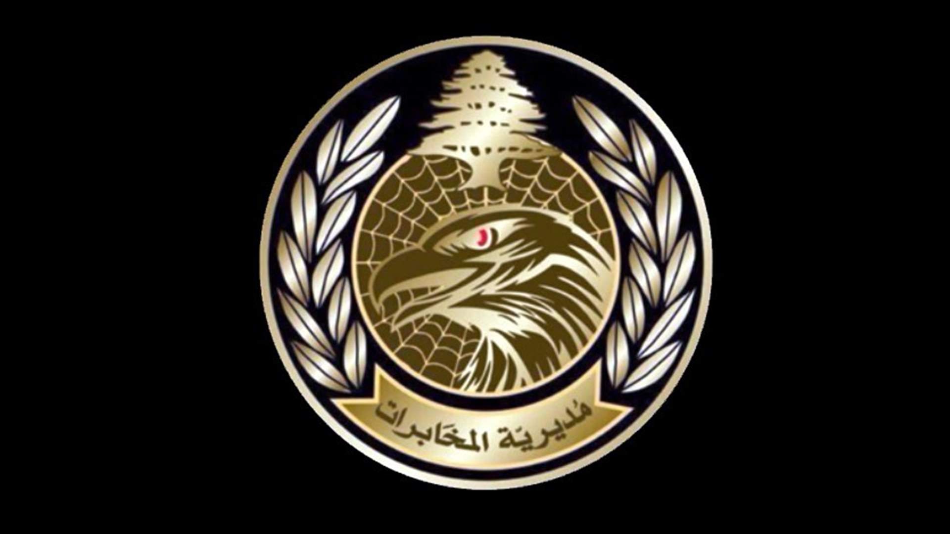 توقيف 4 شاحنات محملة بالخضار السورية المهربة في ببنين العكارية