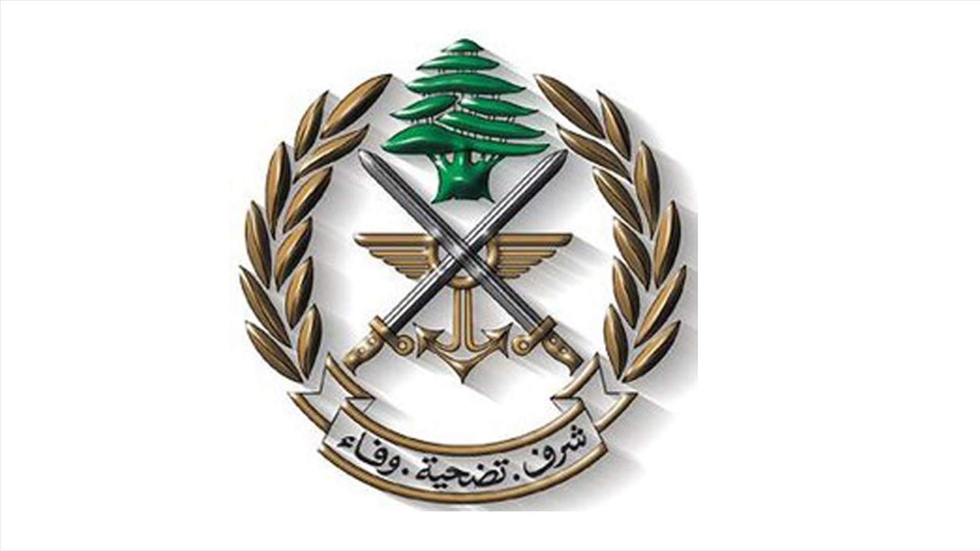 الجيش: 5 زوارق معادية خرقت المياه الإقليمية امس على 5 مراحل