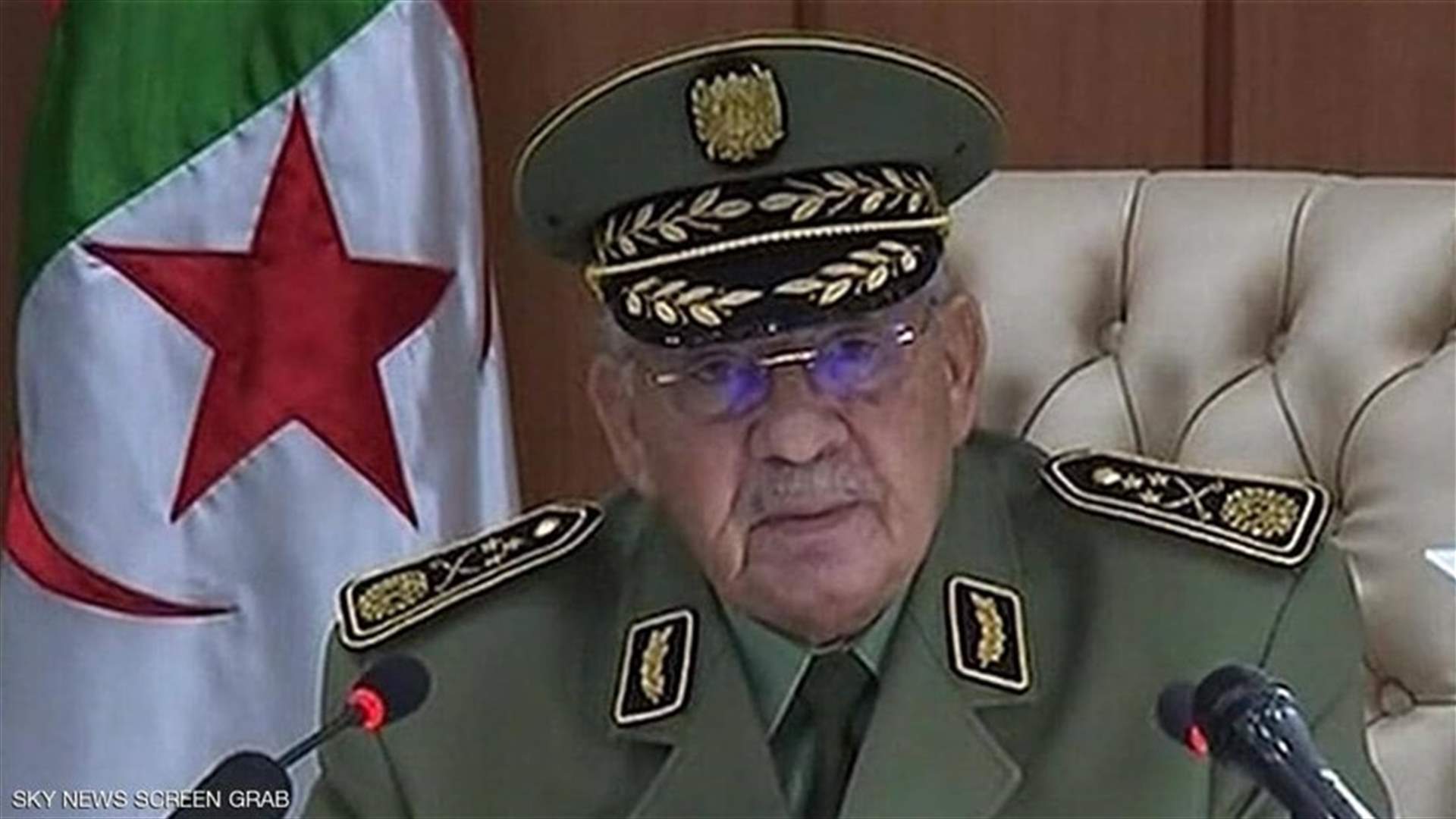 الجيش الجزائري: المحتجون عبروا عن أهداف نبيلة
