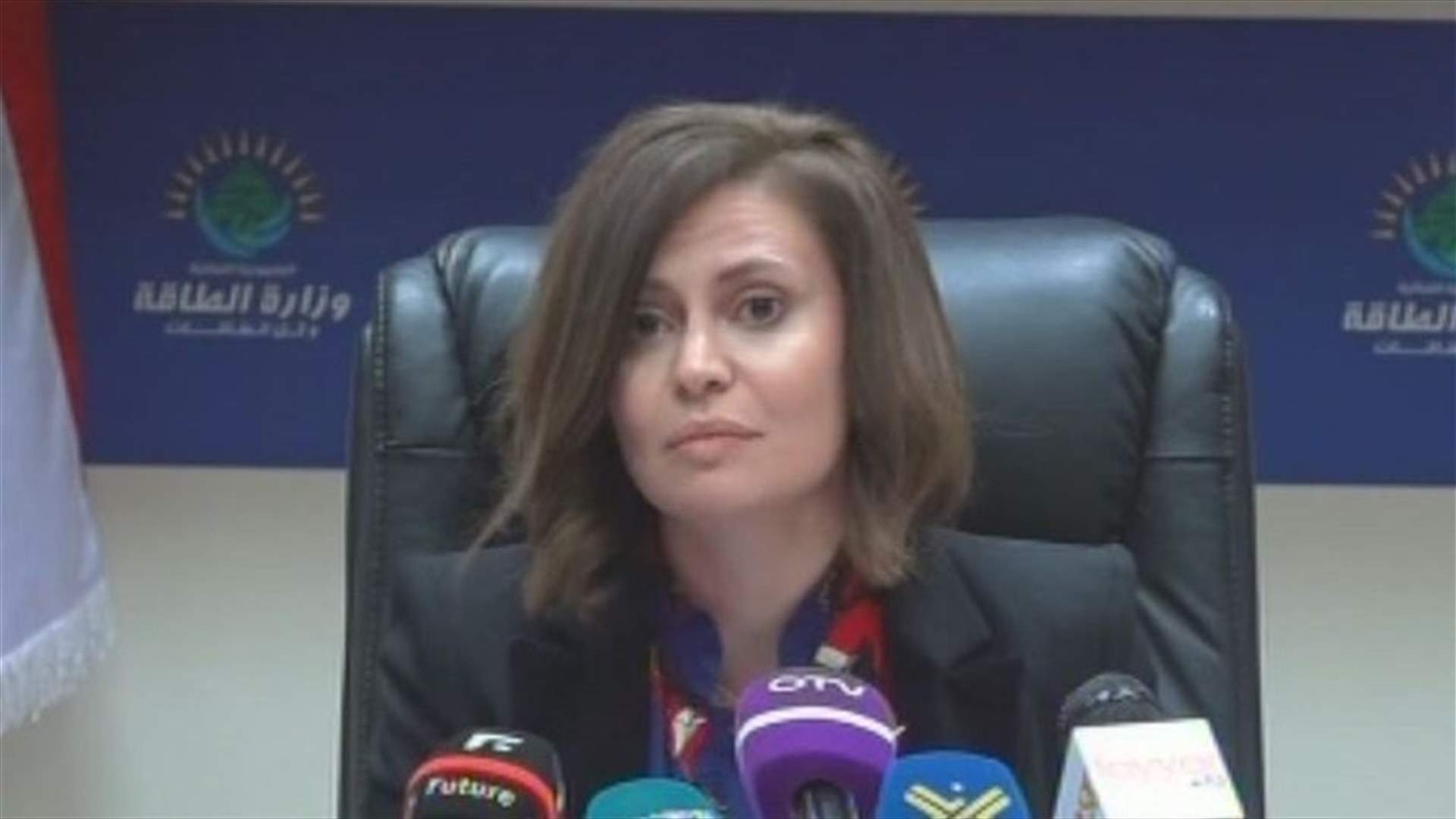 Minister Boustani: Delay in implementing electricity plan will cost millions