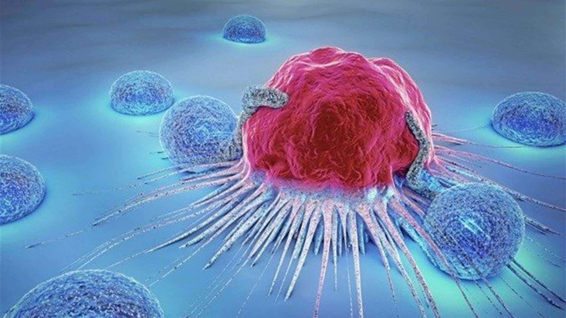 بين شرب النبيذ والتدخين... أين يكمن الخطر الأعلى للإصابة بالسرطان؟