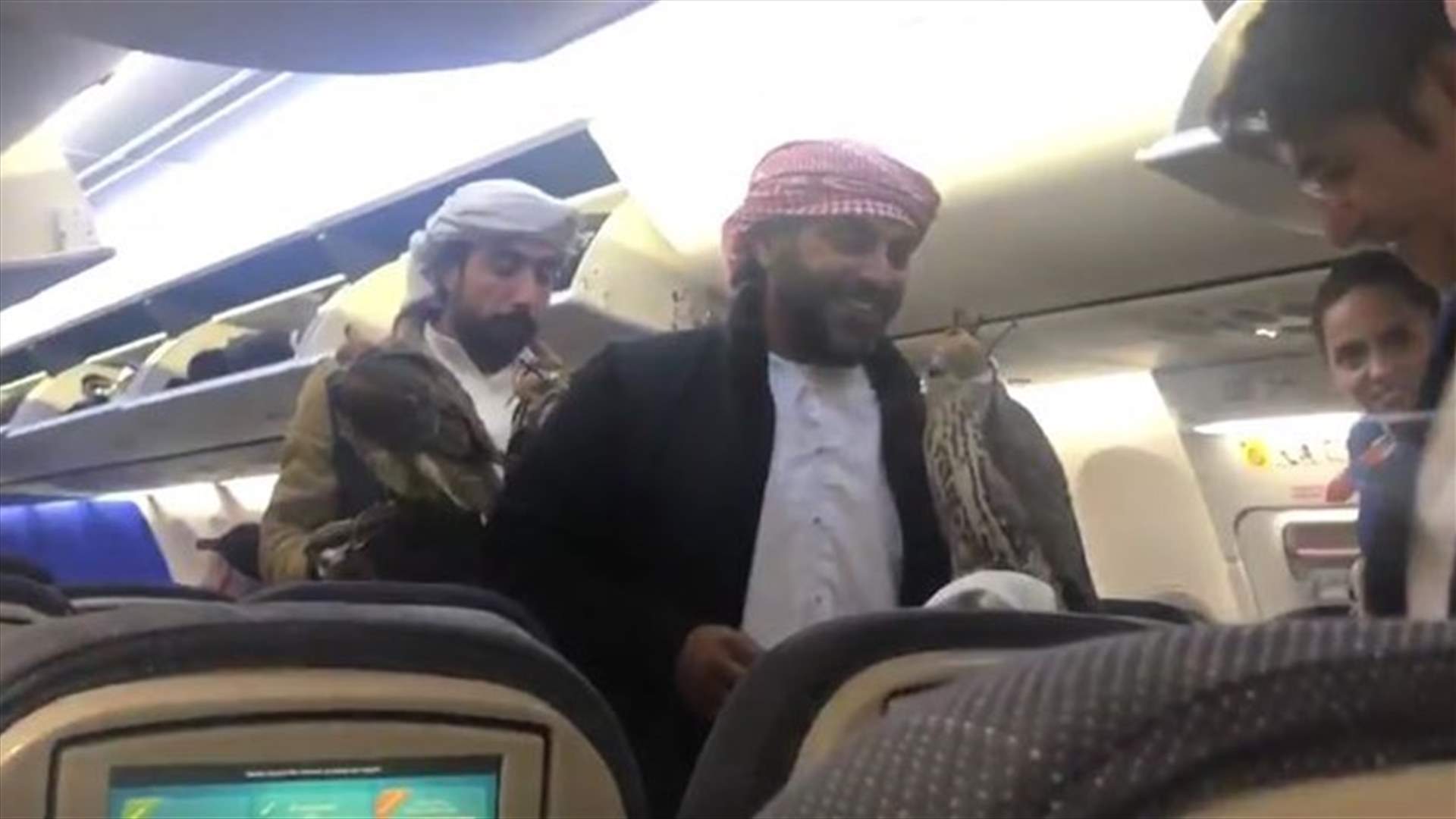 مسافران يدخلان صقورهما على متن الطائرة ويصدمان الركاب (فيديو)