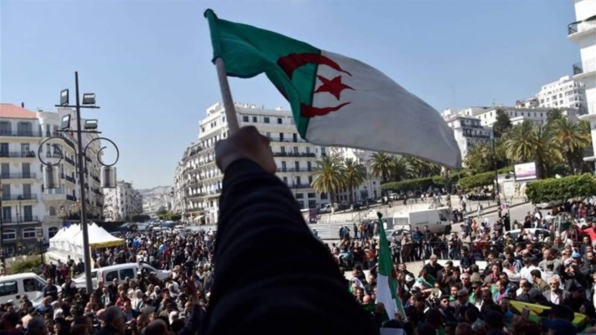 الجزائريون ينزلون إلى الشارع للجمعة السابعة على التوالي