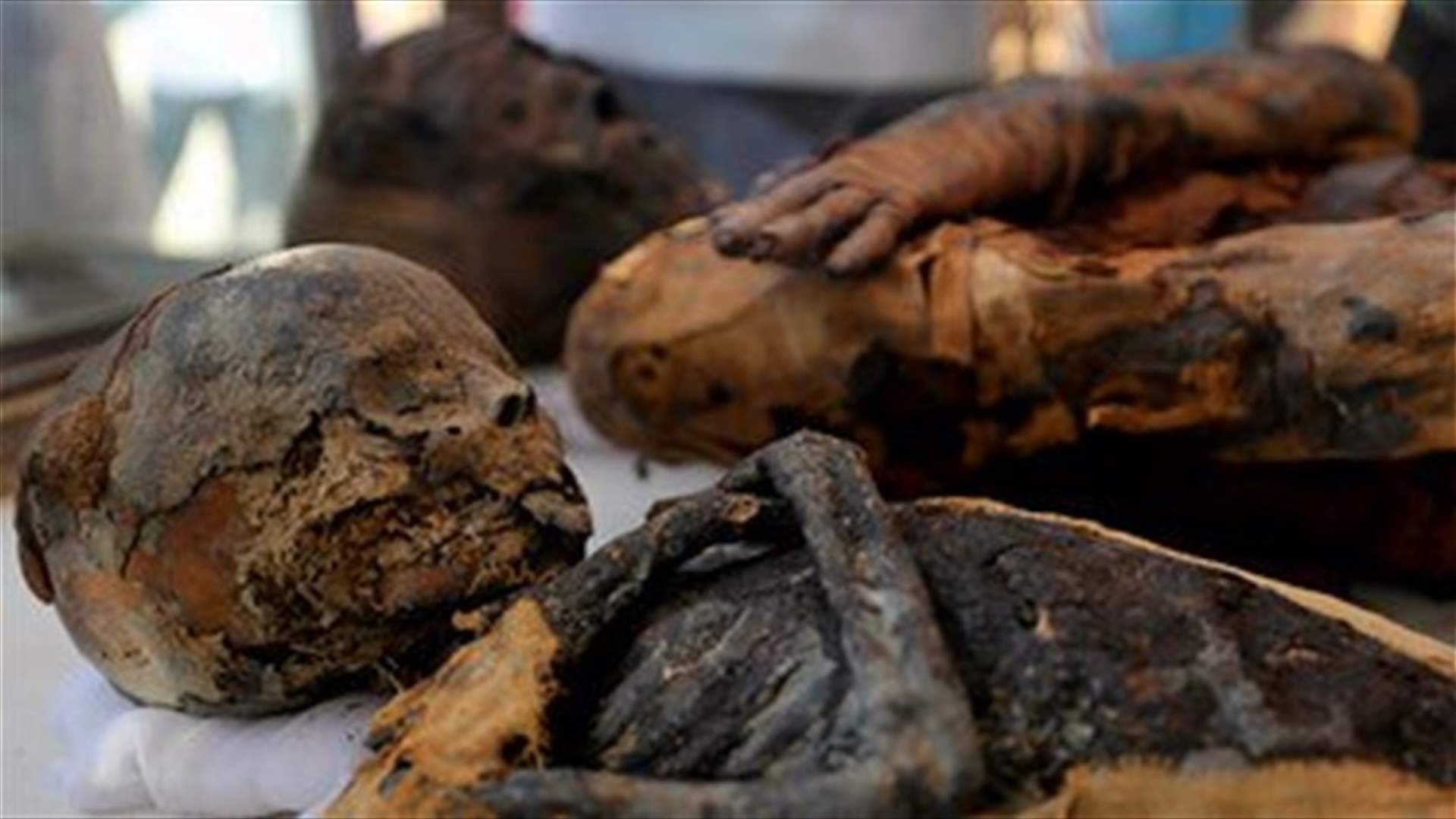 Finely painted Ptolemaic tomb unveiled in Egypt-[PHOTOS]