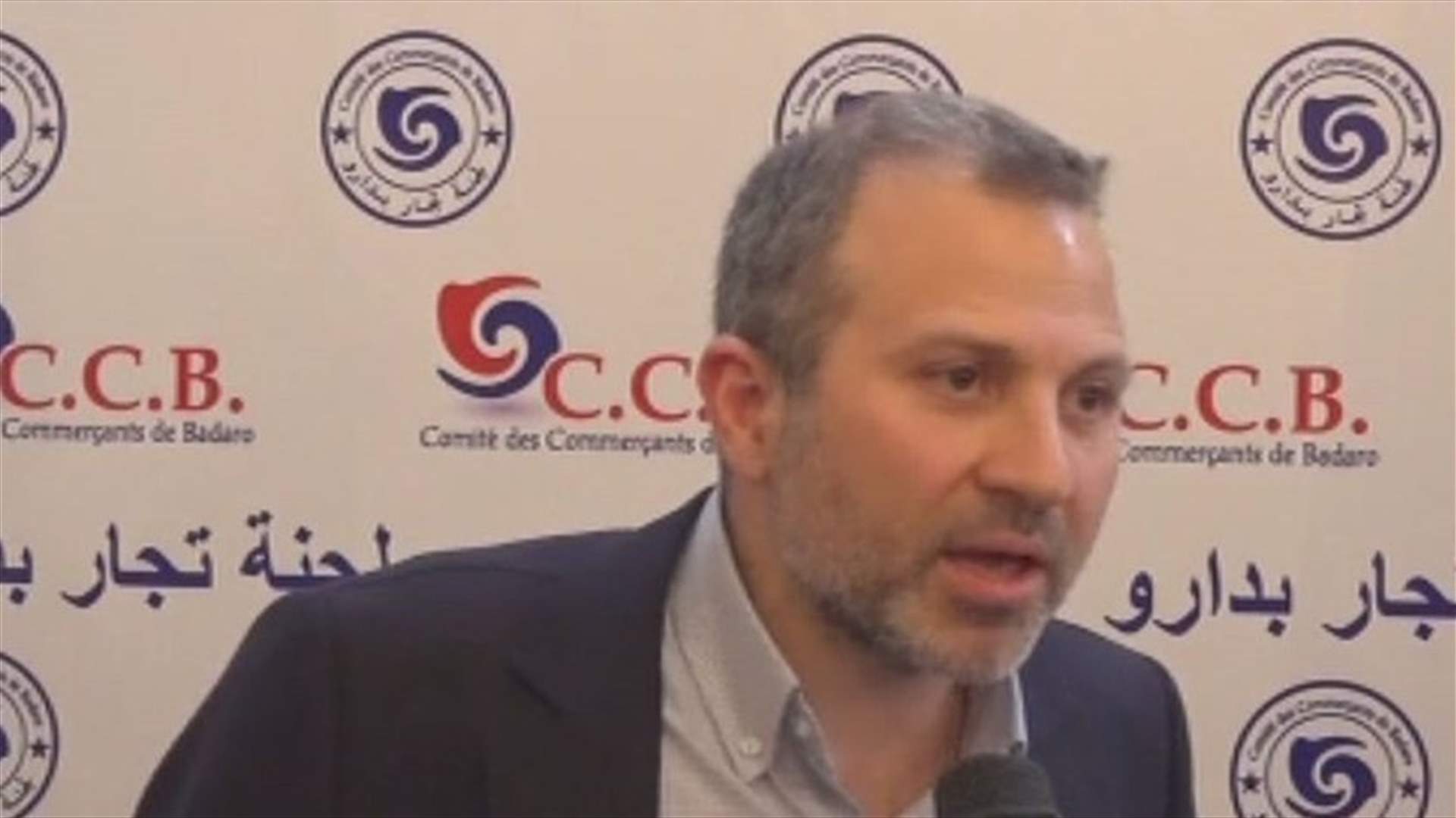 Bassil: Real fear is resettlement and displacement of natives