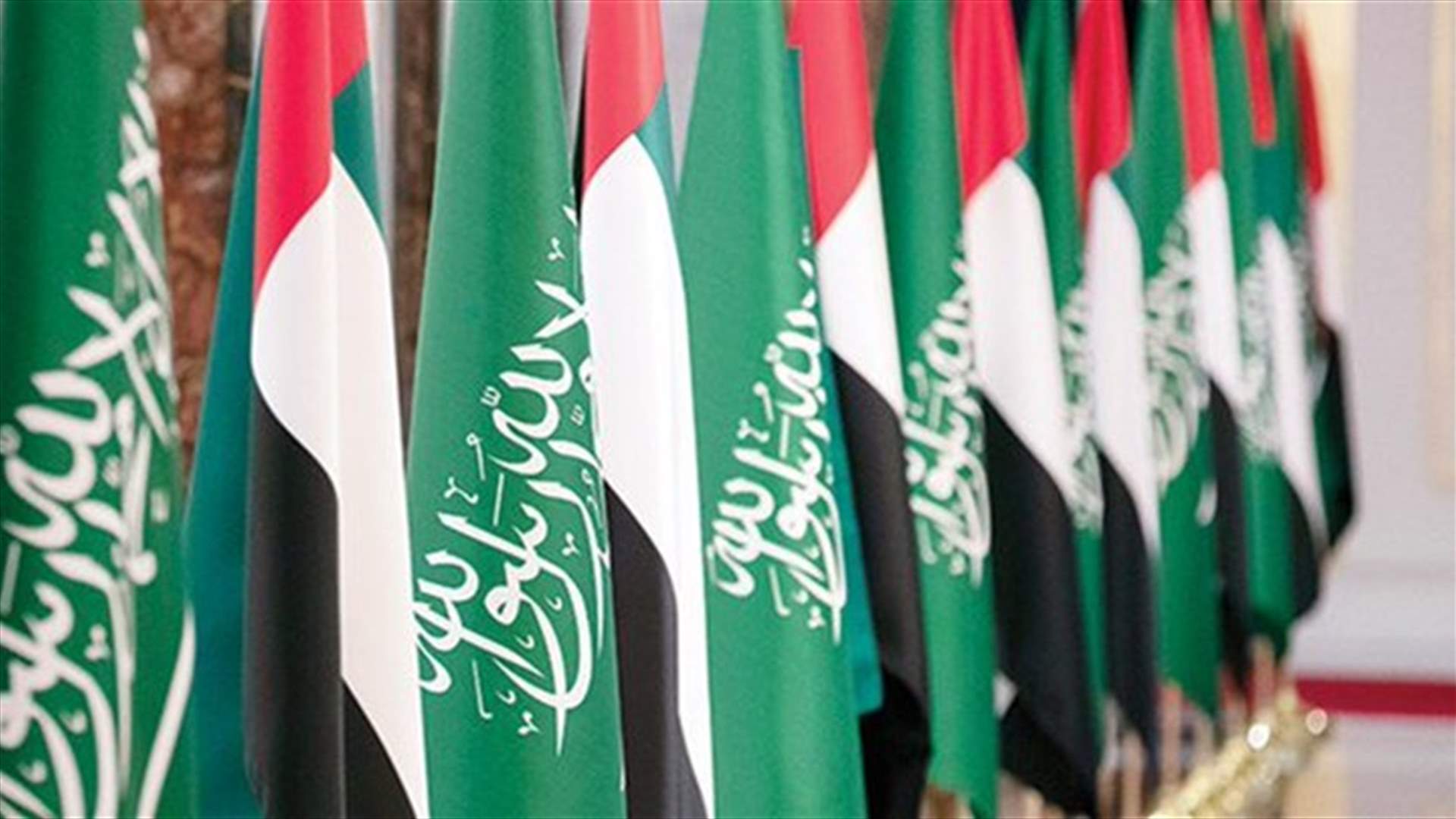 Saudi Arabia and UAE pledge $200 million in aid to Yemen for Ramadan - UAE minister