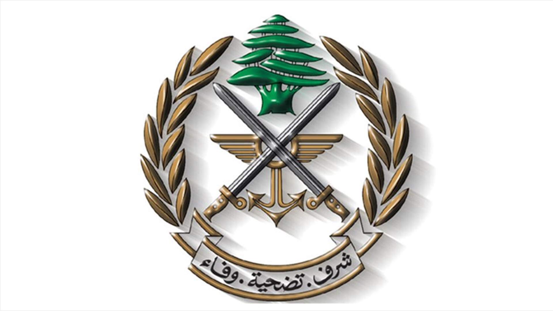 الجيش: تحرير طفلين مخطوفين وتوقيف الخاطفين