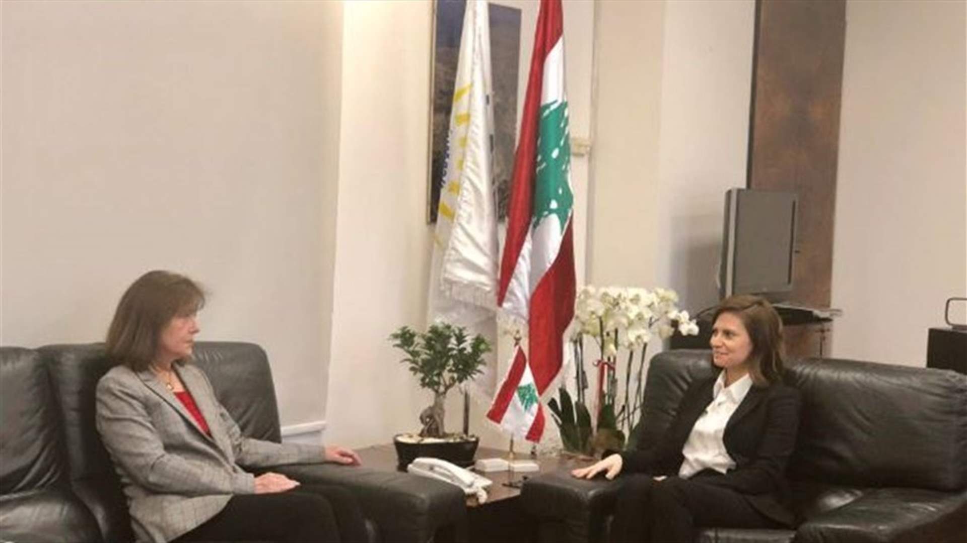 Energy Minister Boustani meets US ambassador