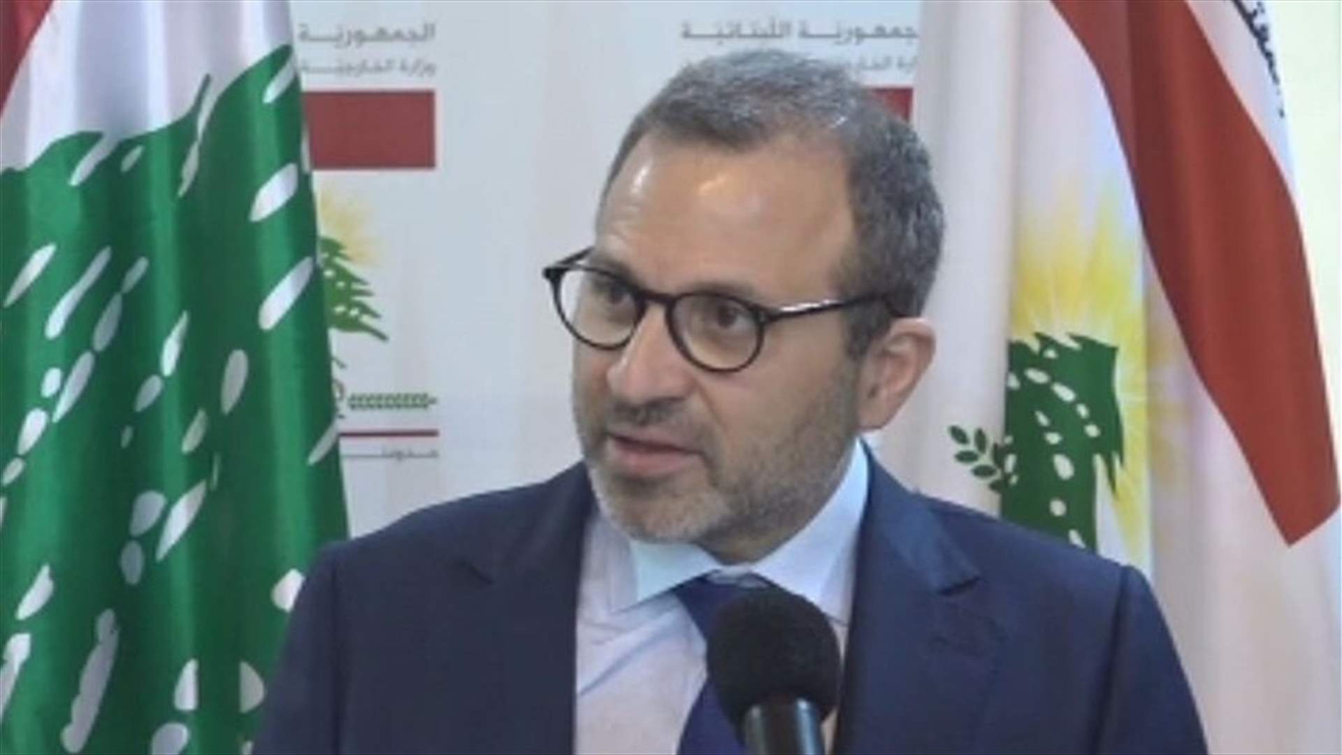 Bassil stresses need to boost cooperation with Cyprus to reach alliance on oil and gas