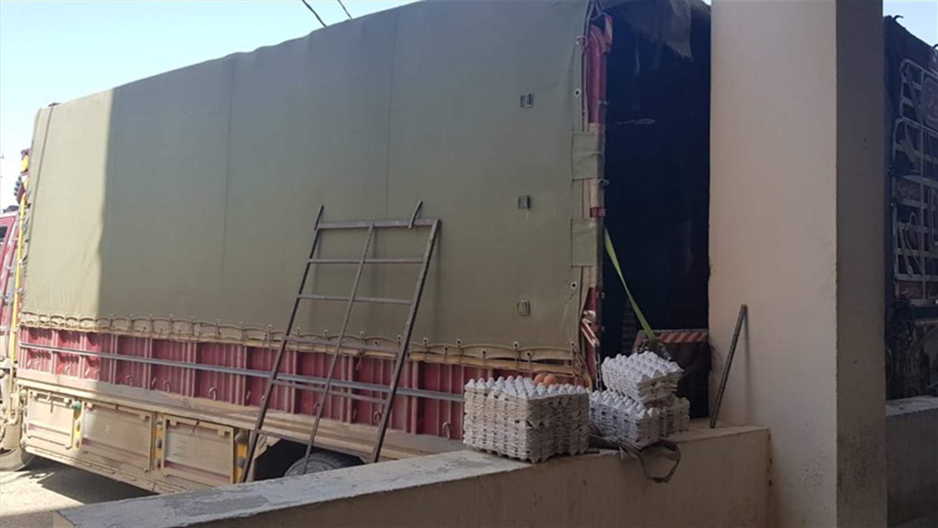 ضبط بيض مهرب في العبودية (صور)