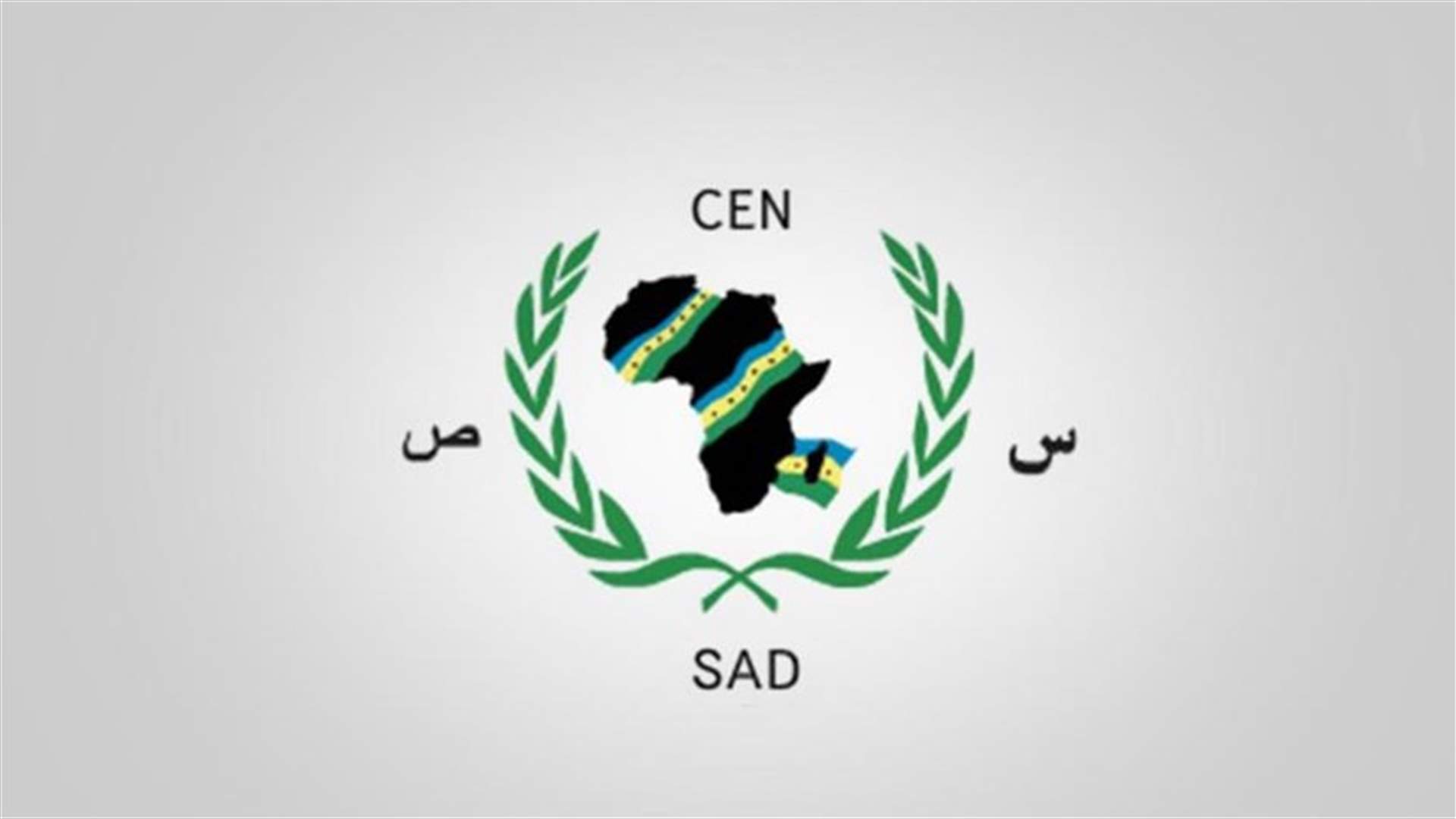 قمة دول الساحل والصحراء تدعو لانتقال سلمي في السودان ووقف المعارك في ليبيا