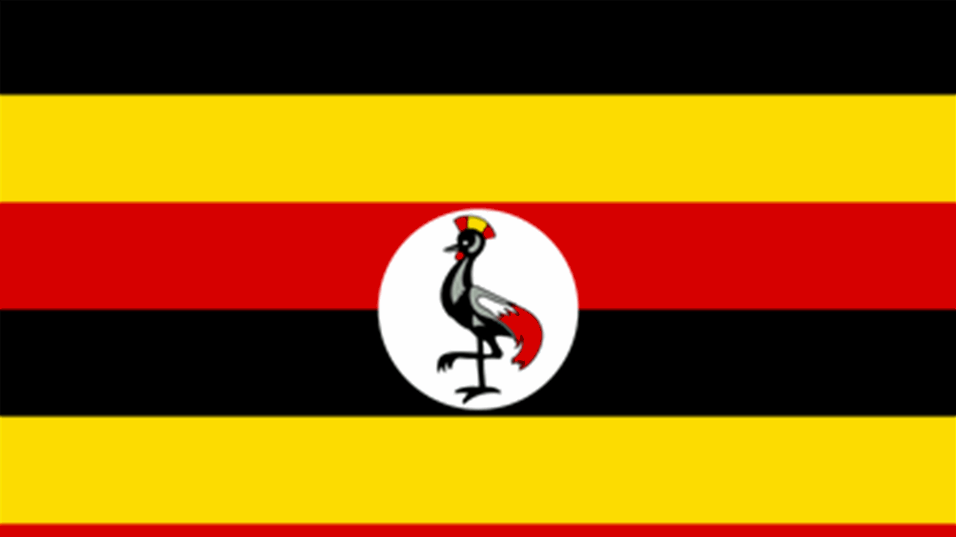 Uganda says it is willing to consider asylum for Sudan's ousted leader Bashir
