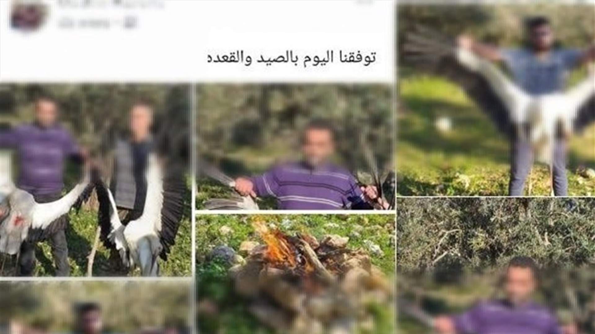 بعد قيام اشخاص بإصطياد طيور اللقلق وعرضها على مواقع التواصل الإجتماعي... هذا ما اعلنته قوى الامن