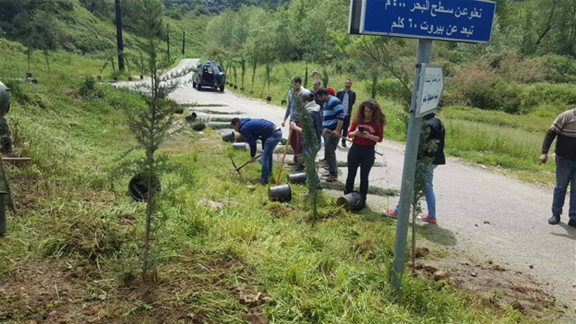 حملة تشجير في مرج بسري