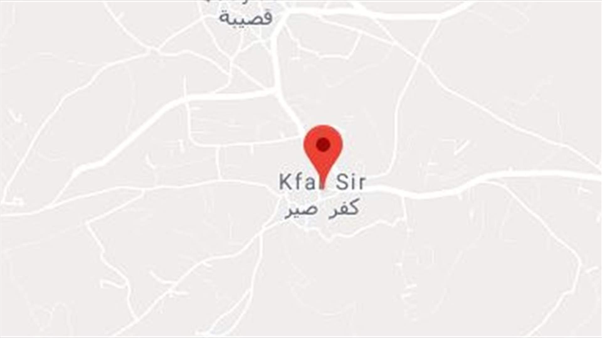جرح شخصين هاجمهما كلب شارد في كفرصير- النبطية