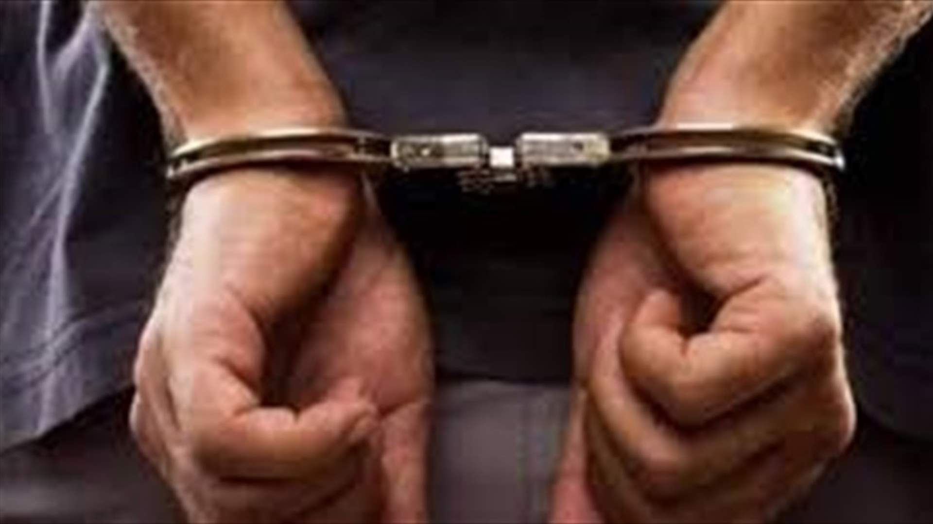 خلال شهر آذار ... سرقا 24 محلا تجاريا في صيدا وضواحيها