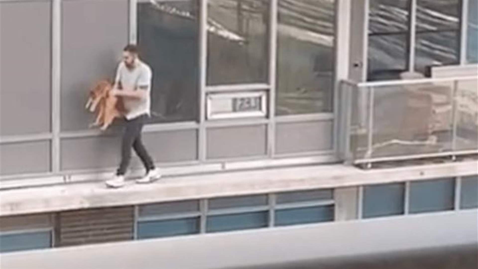 خاطر بحياته من أجل هرة... فيديو وثّق المشهد الصادم!