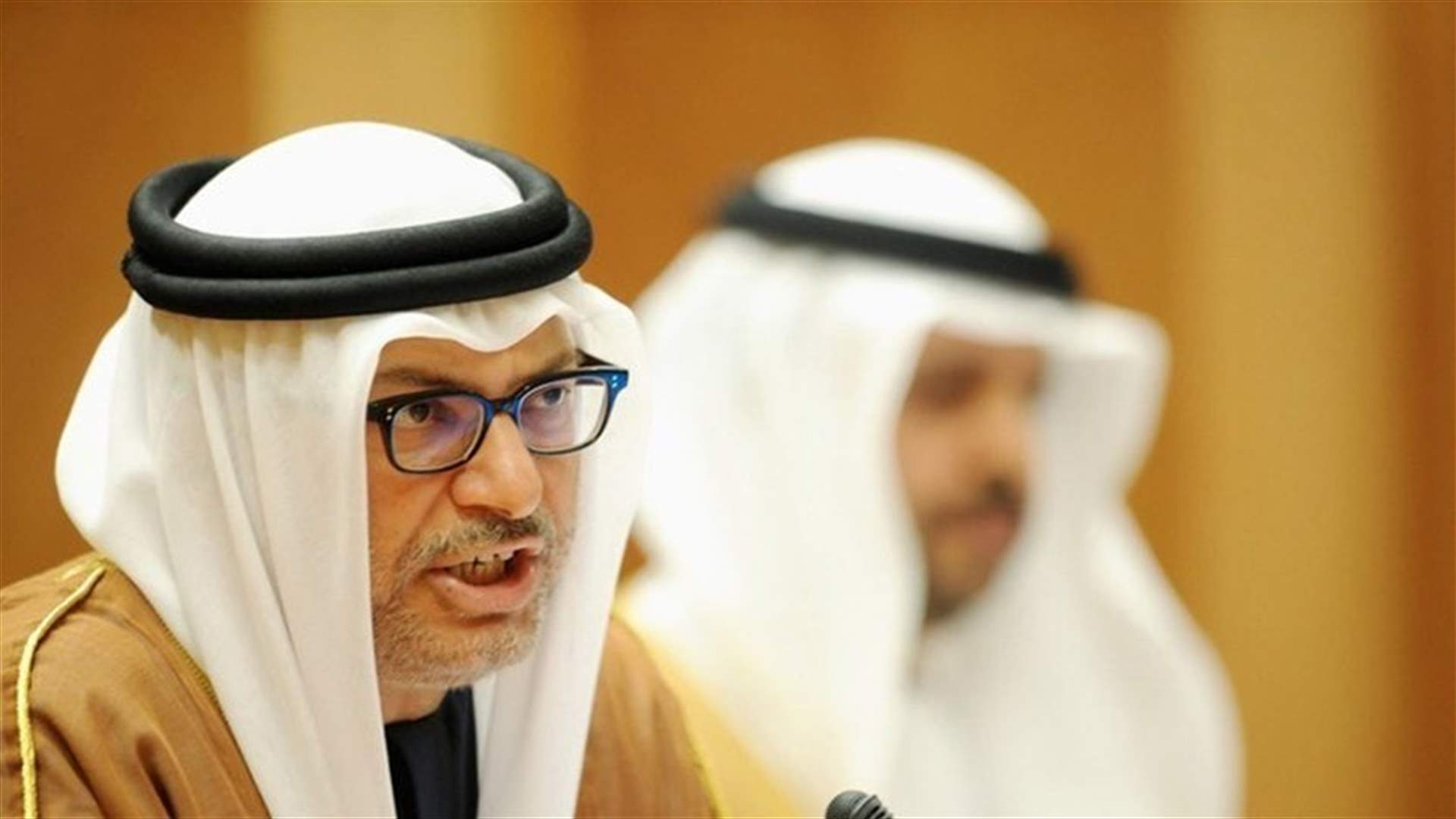 Arab states support Sudan transition, want stability - UAE minister