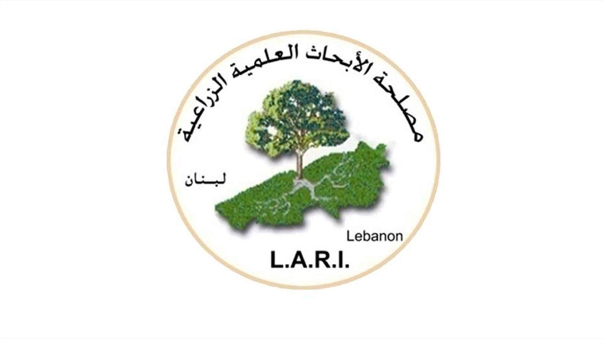 رئيس مصلحة الأبحاث العلمية الزراعية: لا جراد في لبنان ووصوله مستبعد