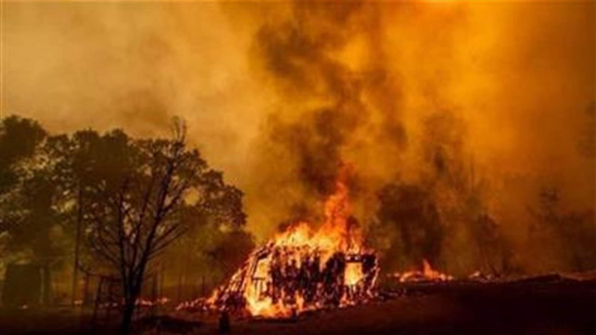 حريق غابات يلتهم 4 قرى بجنوب السودان ويودي بحياة 33 شخصا