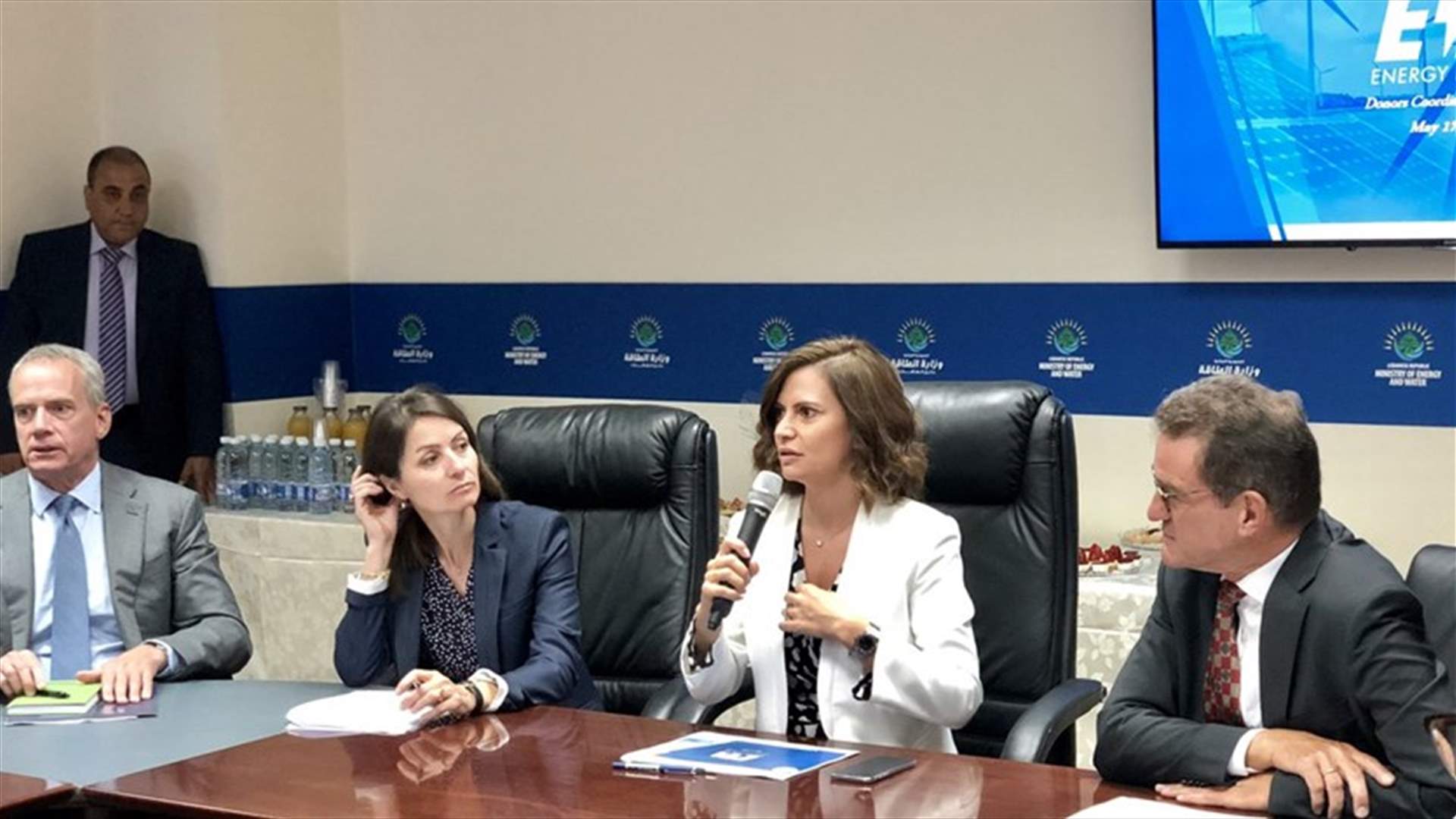 بستاني: أهم أهداف الوزارة تشكيل مجلس إدارة جديد لمؤسسة كهرباء لبنان
