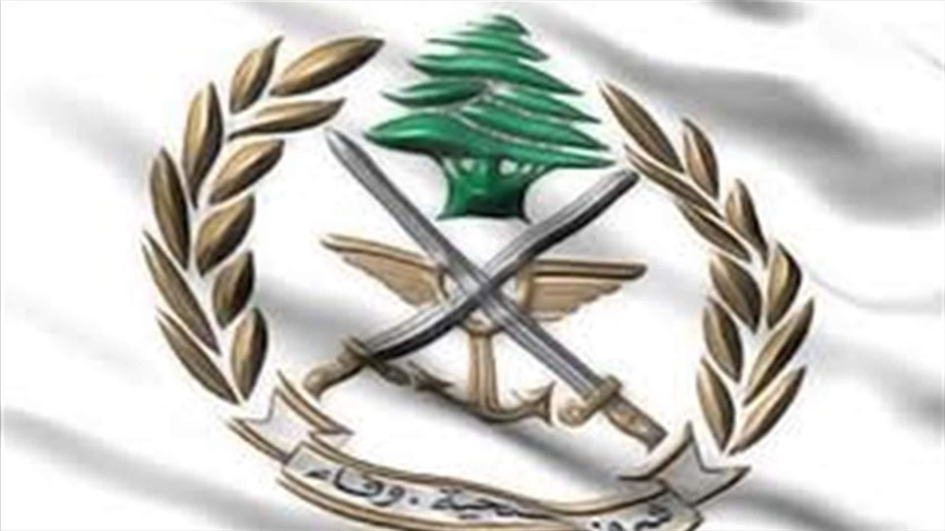 الجيش: دورية إسرائيلية حاولت خطف أحد الرعاة في خراج بلدة جبل الشحل