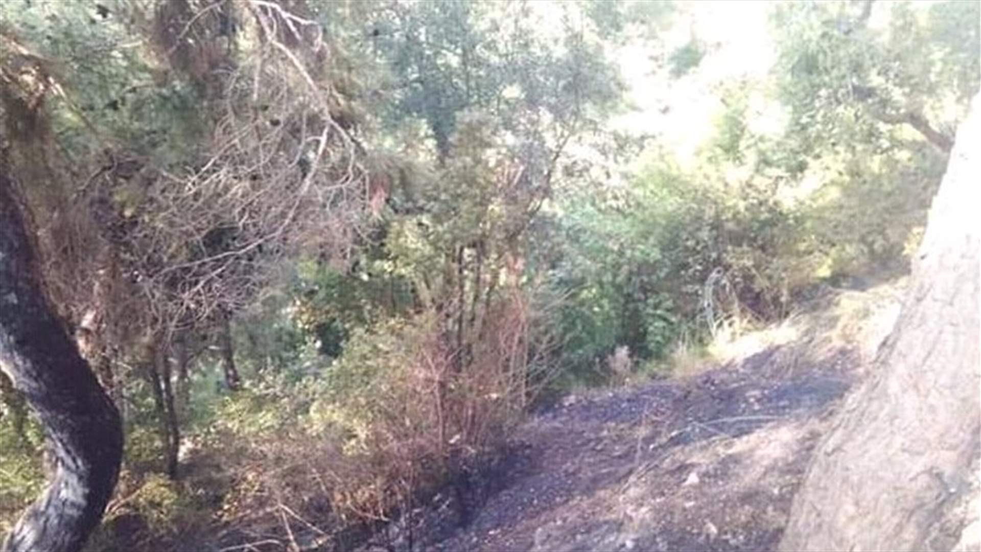 إخماد حريق في حرج صنوبر في عندقت (صورة)