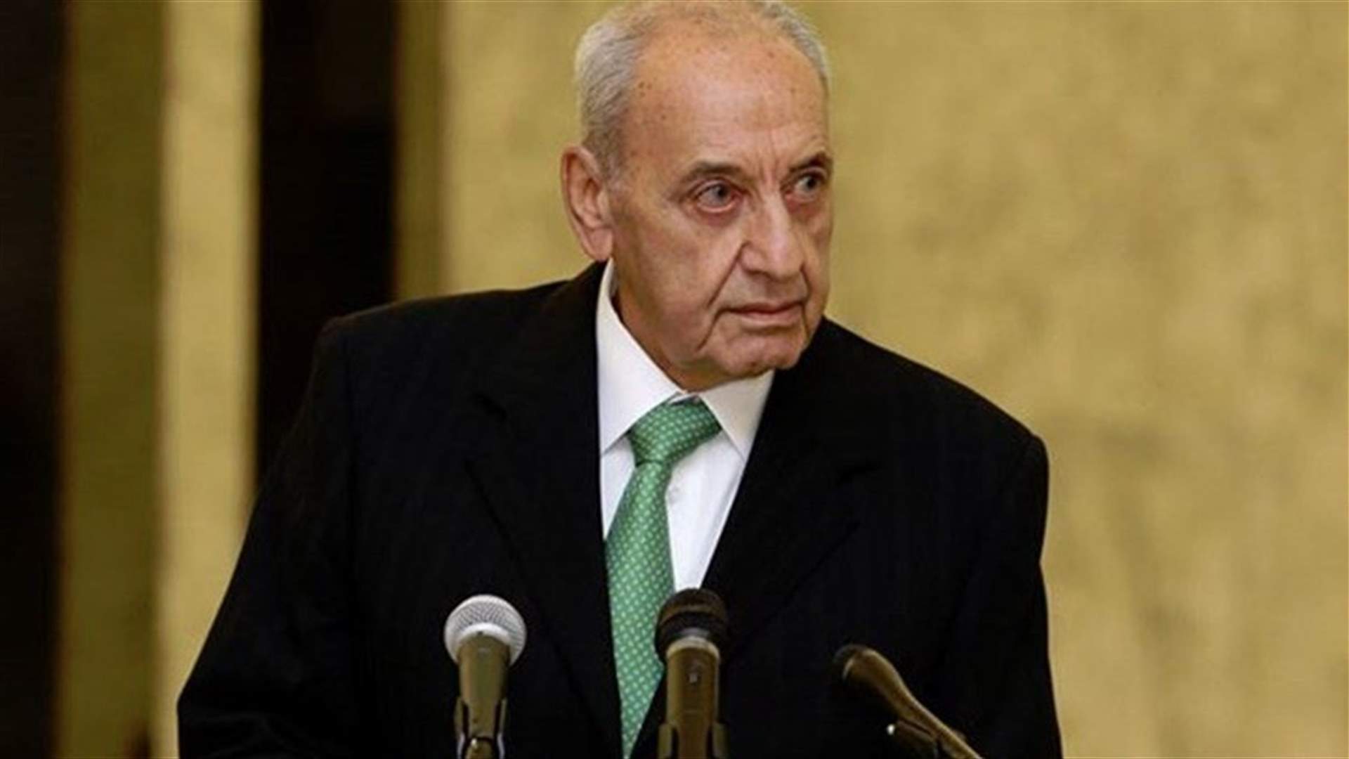 Berri meets with US Congress delegation