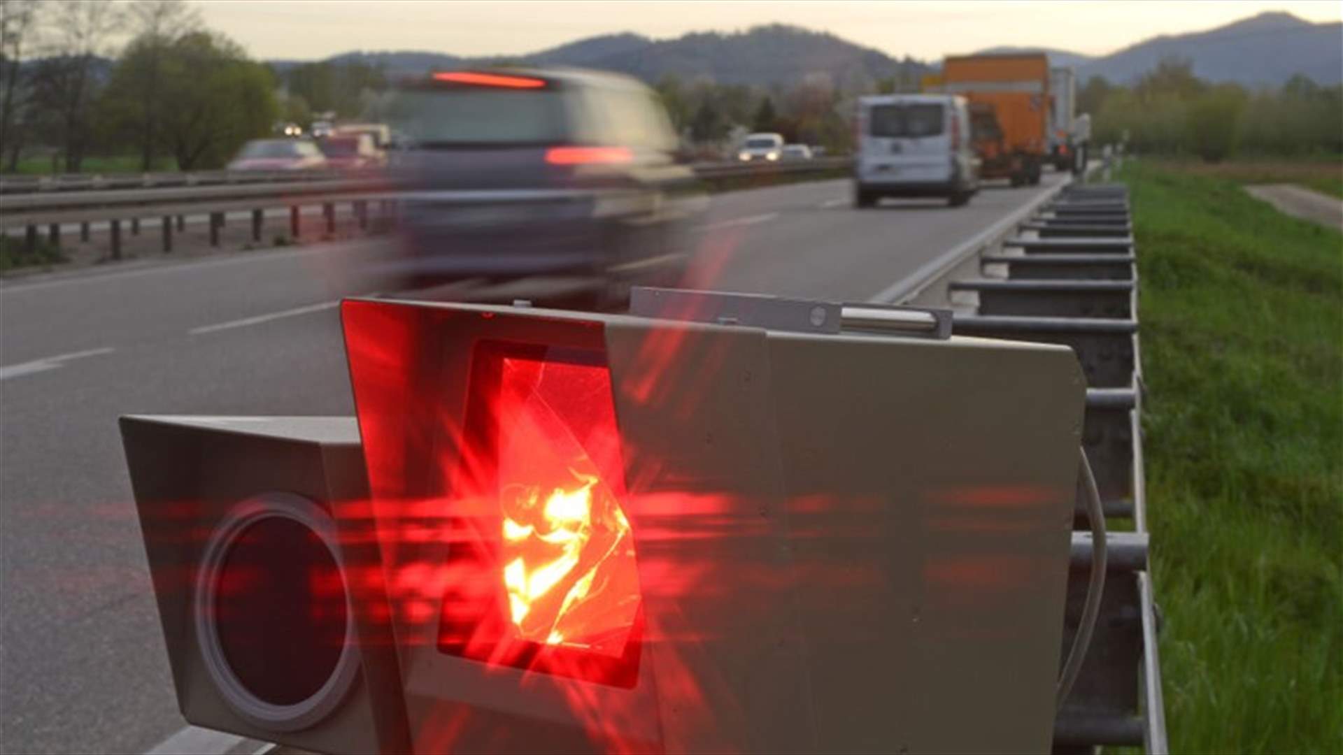 "حمامة" تُنقذ سائقا من مخالفة مرورية... (صورة)