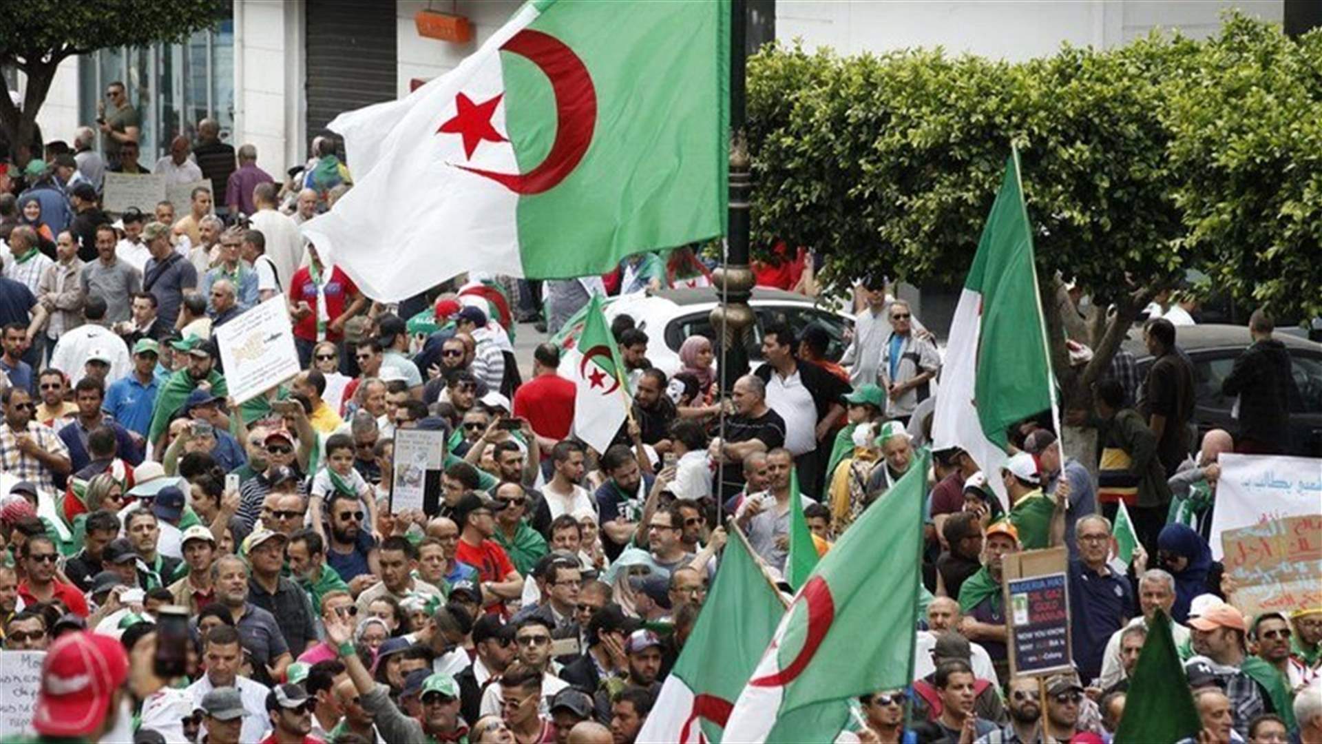 Algerian council concludes not possible to hold July 4 poll - TV