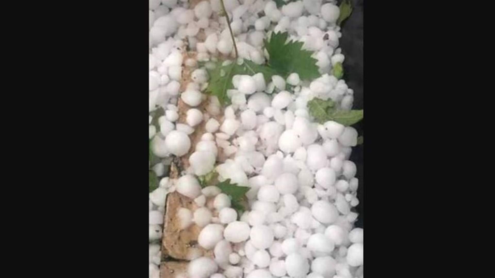 حبات برد كبيرة تضرب مواسم الضنية وتخلّف أضراراً (صورة)
