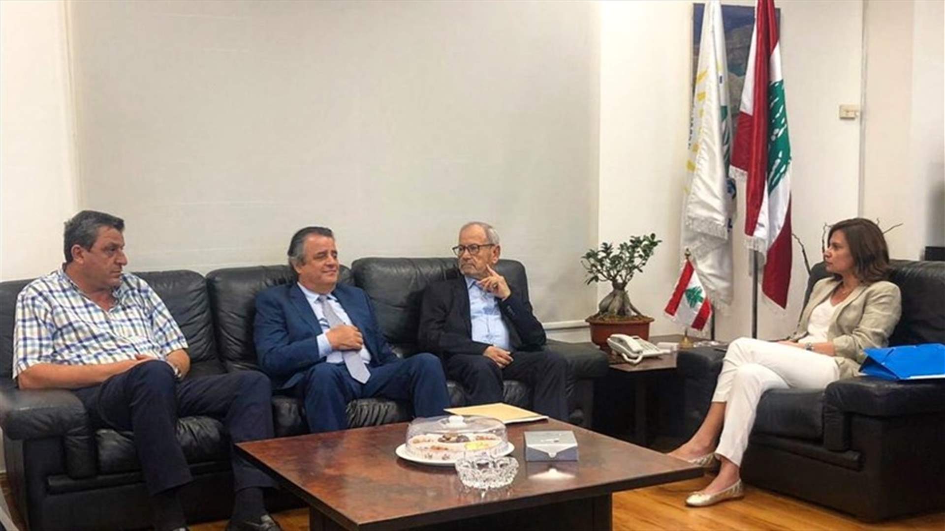 هذا ما اعلنته بستاني في قضية المصب البحري في طبرجا-كفرياسين...