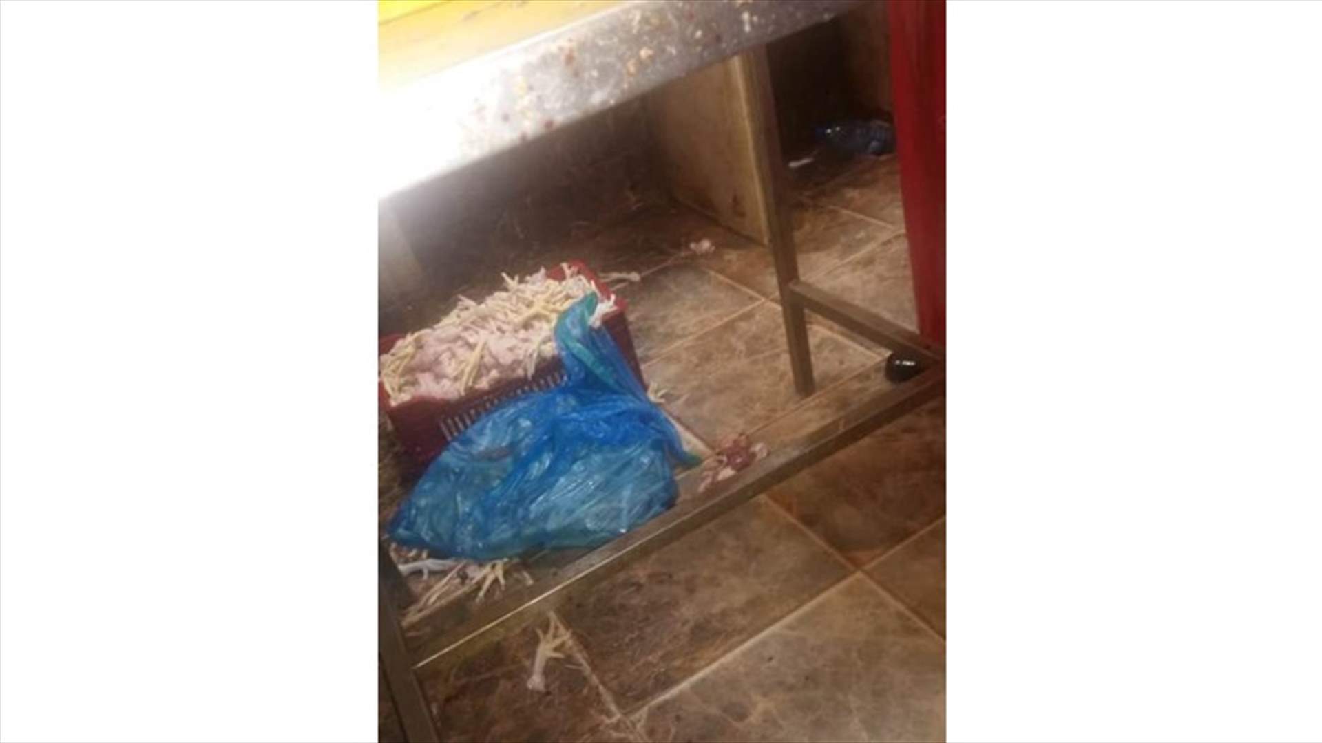 اقفال مسلخ فروج في صيدا