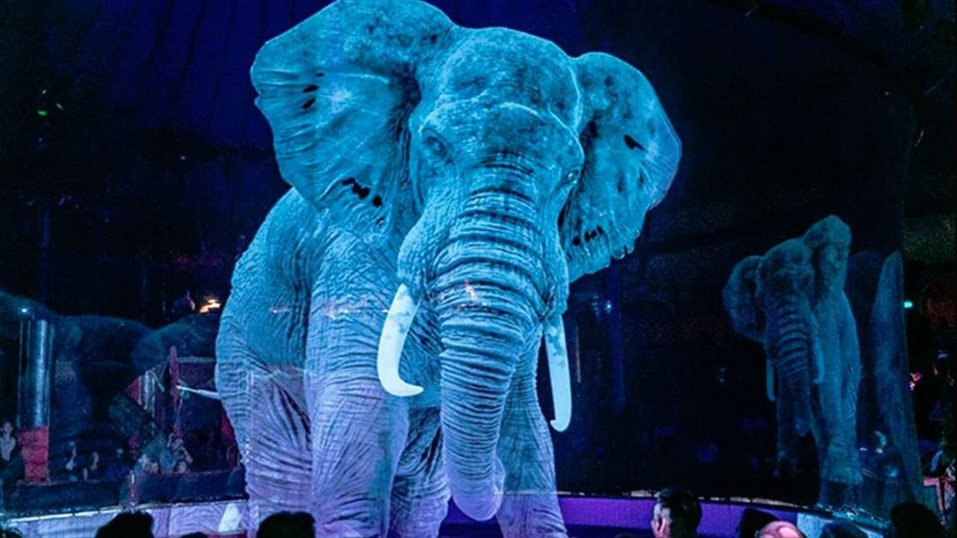 German Circus Replaces Live Animals With Holograms For A Cruelty-Free Magical Experience