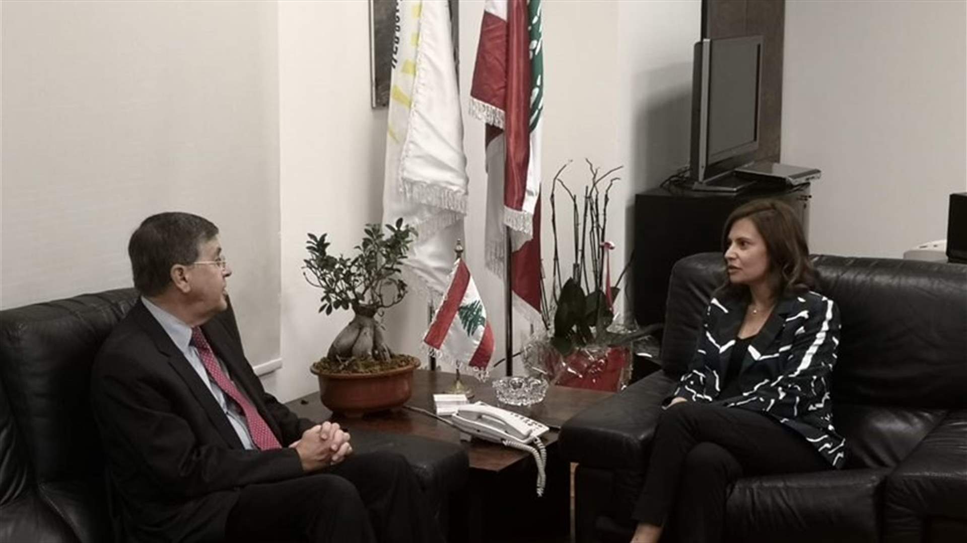 Minister Boustany meets with Satterfield