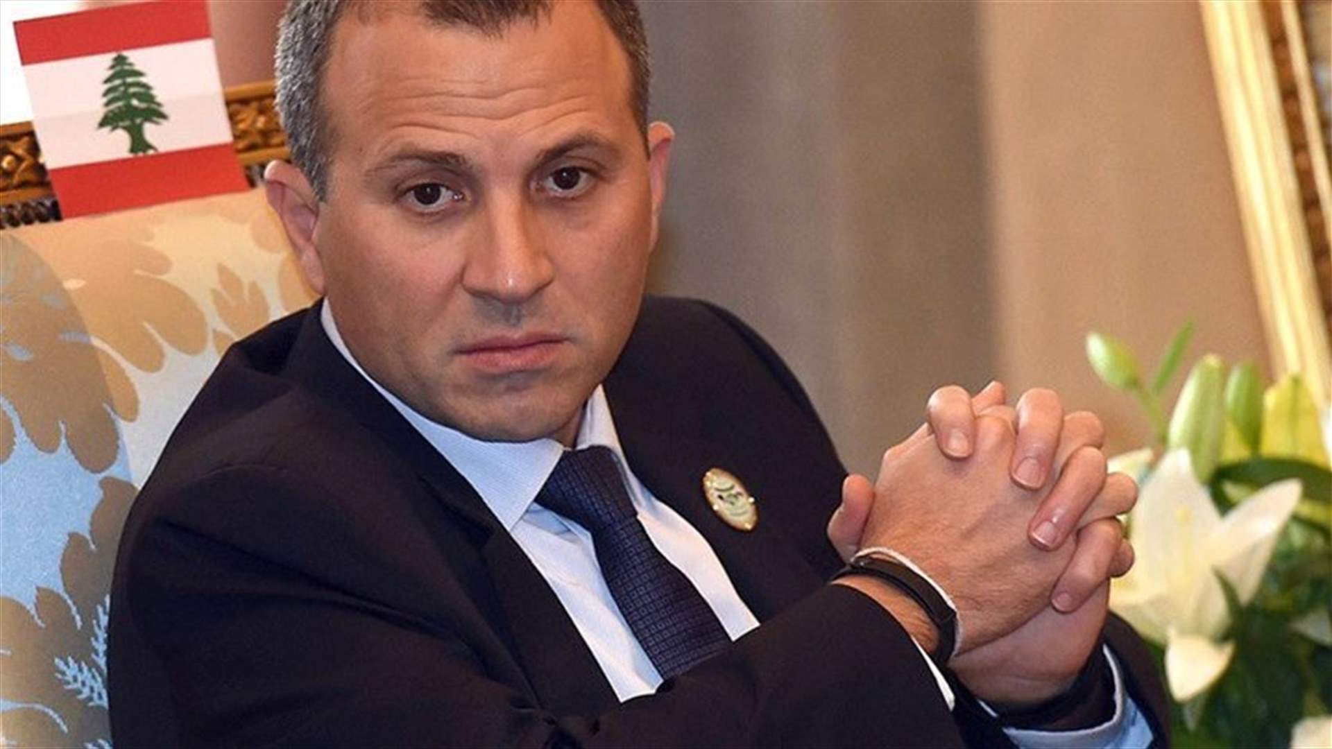 Bassil wraps up visit to Ireland, meets with Lebanese expatriates