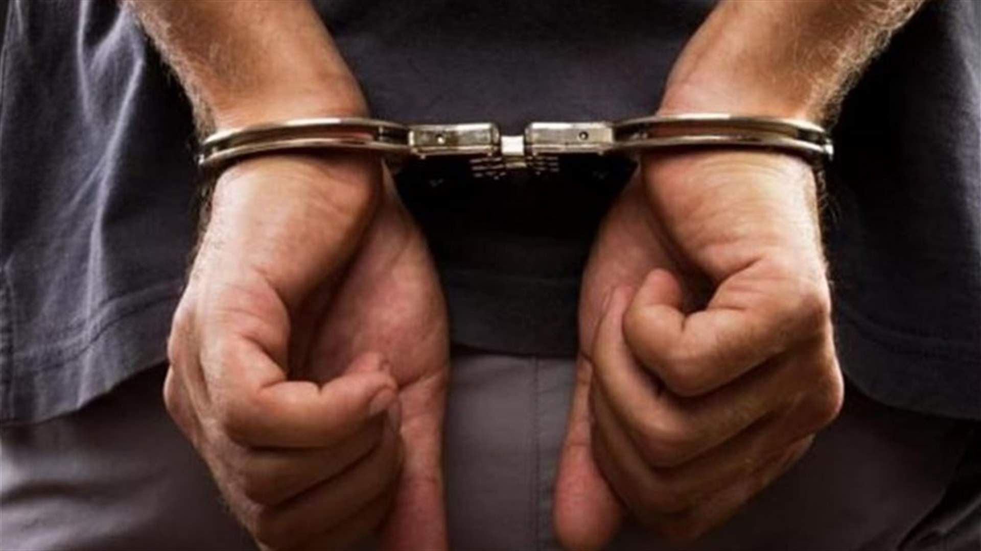 مذكرات توقيف وجاهية بحق 3 أشخاص لتهريبهم كميات كبيرة من الموز