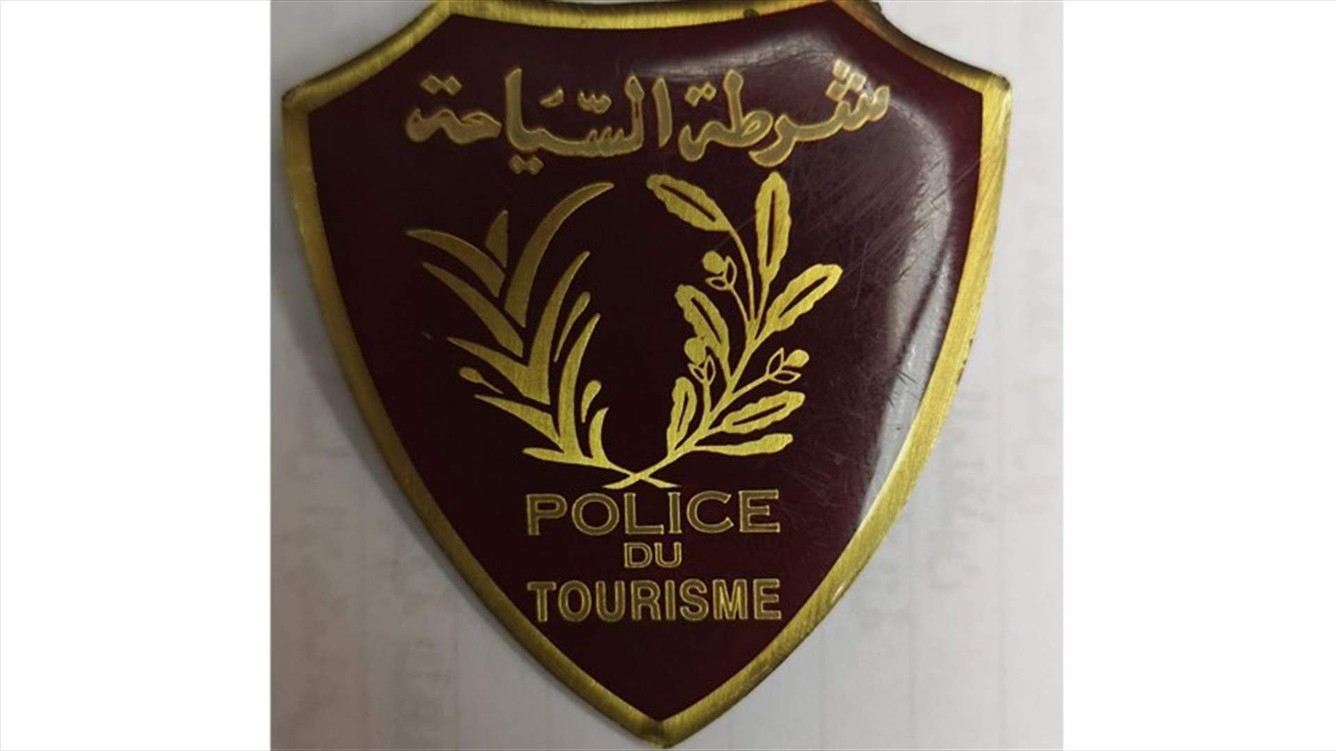 الشرطة السياحية نظّمت 191 محضر ضبط مخالفة خلال 3 أشهر