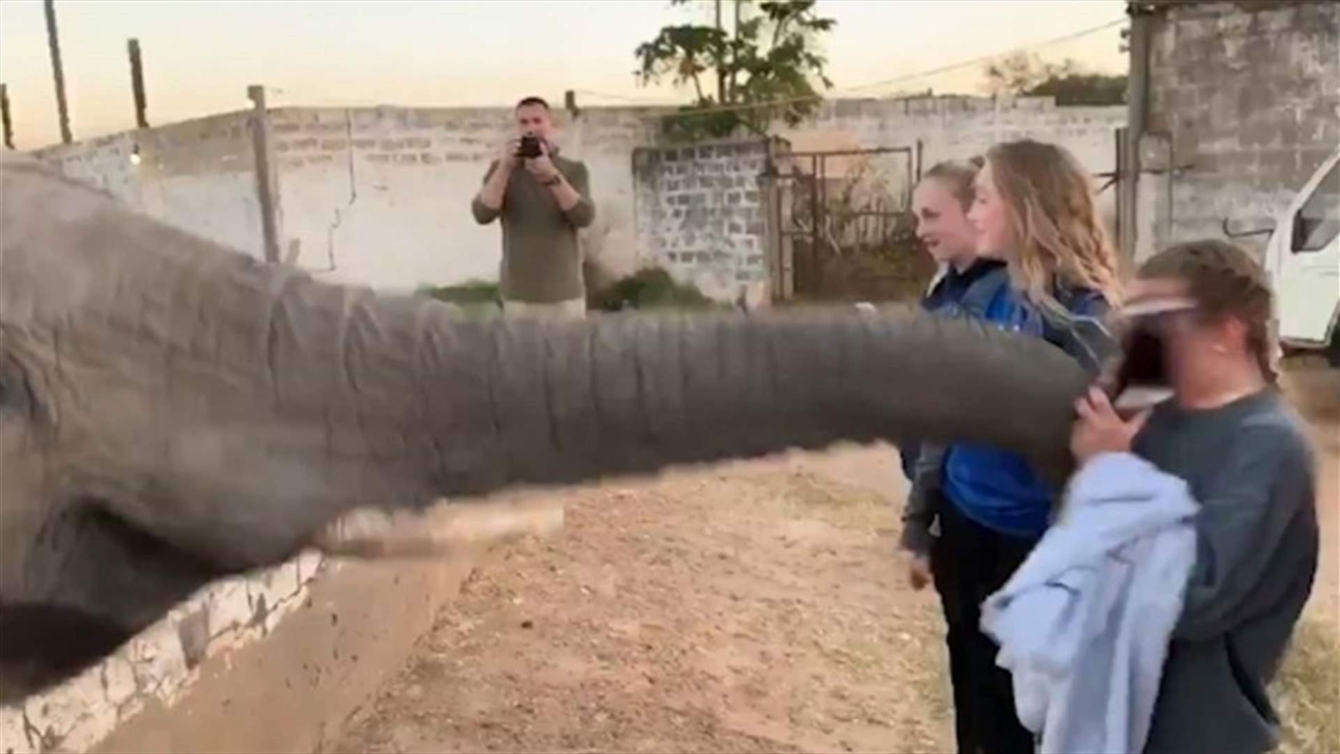 فيل يصفع سائحة على وجهها بوحشية لأنها حاولت التقاط صورته (فيديو)