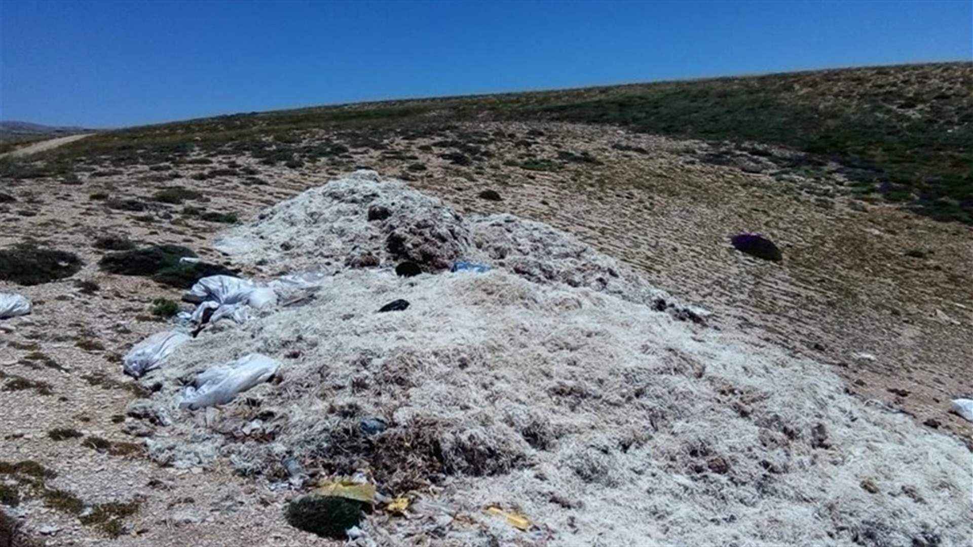 جلود أغنام وبقايا دجاج في جرد عيناتا... وحبشي يناشد وزير البيئة (صور)