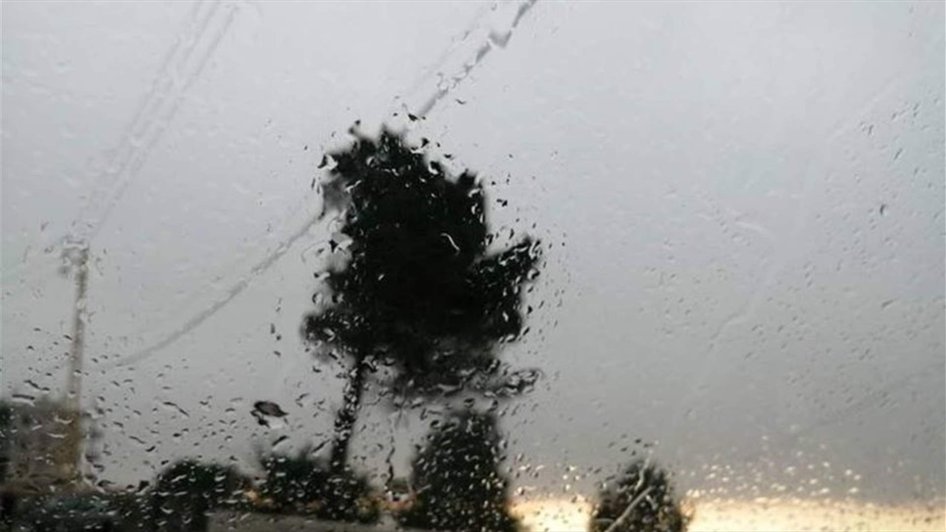 أمطار خفيفة وضباب يغطي وسط وجبال الضنية