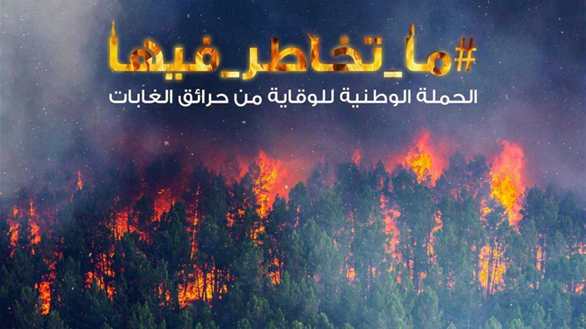 "ما تخاطر فيها"...الحملة الوطنية للوقاية من حرائق الغابات